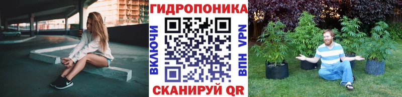 Марихуана конопля  Великий Новгород 